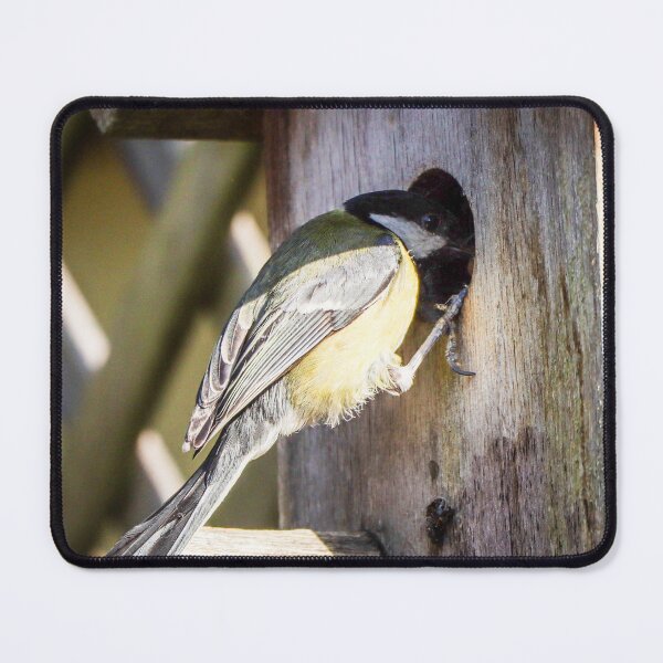 Item preview, Great Tit arriving home designed and sold by Martin Fenton.