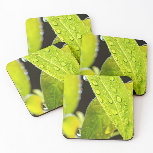Item preview, Backlit leaf with raindrop detail designed and sold by lisavonbiela.