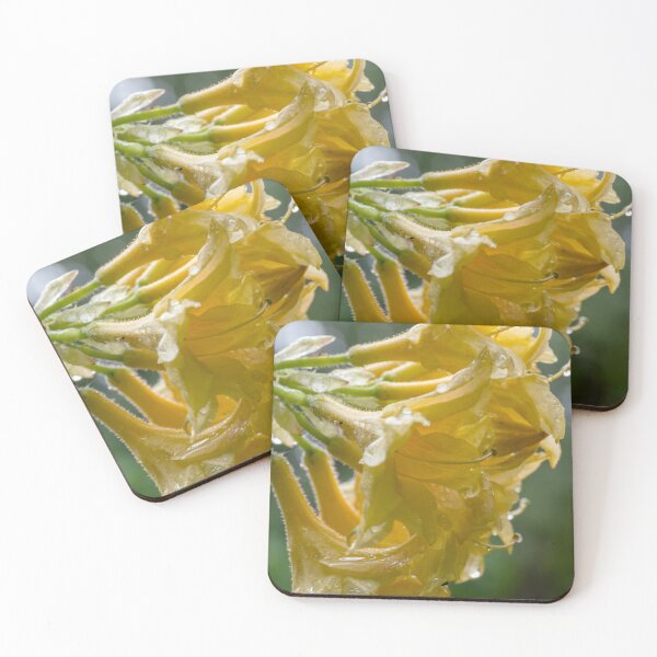 Item preview, Profile of yellow azalea cluster after a spring rain designed and sold by lisavonbiela.
