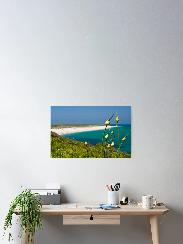 Thumbnail 2 of 3, Poster, Shell View designed and sold by Karen Millard.