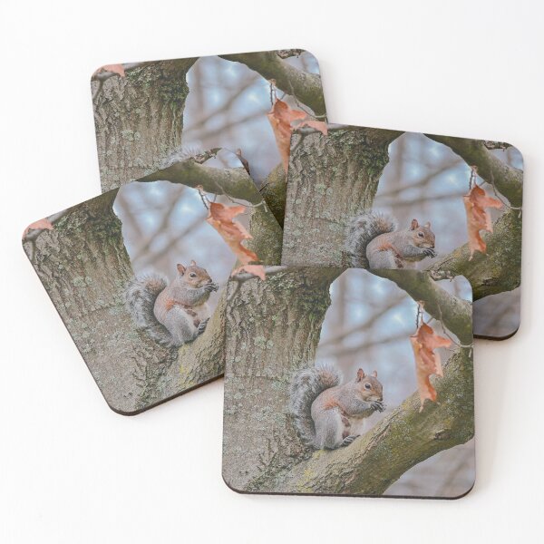 Item preview, Picture of Squirrel  designed and sold by 1Robbie1.