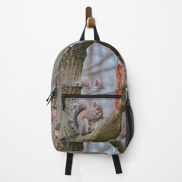 Item preview, Picture of Squirrel  designed and sold by 1Robbie1.