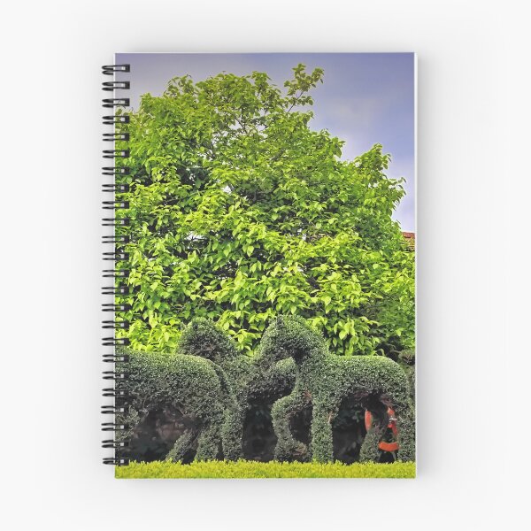 Item preview, Topiary designed and sold by JEZ22.