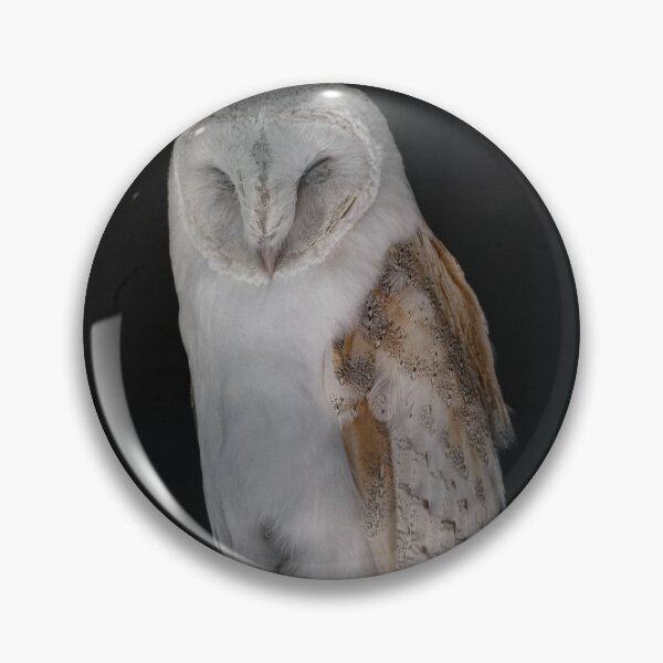 Item preview, Tawny Owl sleeping  designed and sold by Flyal4.