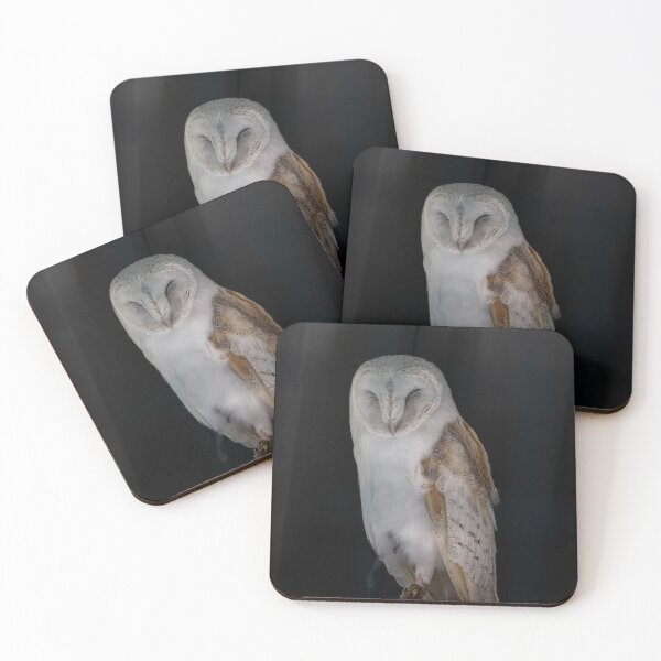 Item preview, Tawny Owl sleeping  designed and sold by Flyal4.