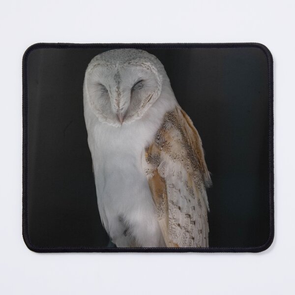 Item preview, Tawny Owl sleeping  designed and sold by Flyal4.