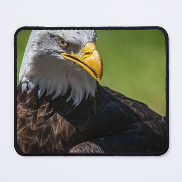 Item preview, Bald Eagle  designed and sold by Flyal4.