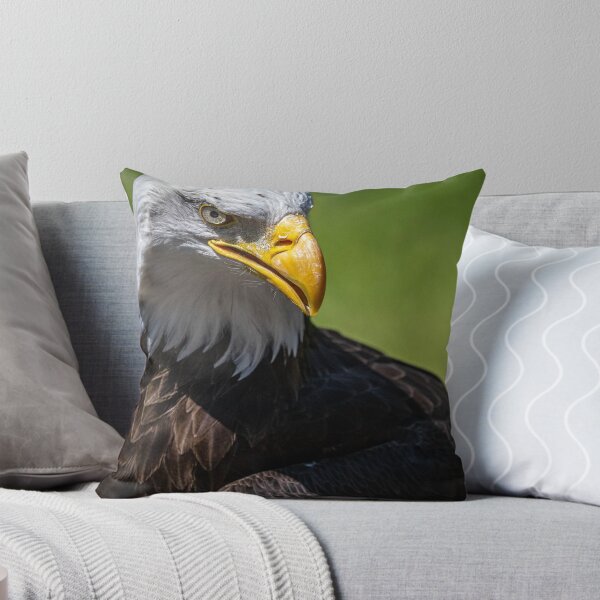 Item preview, Bald Eagle  designed and sold by Flyal4.