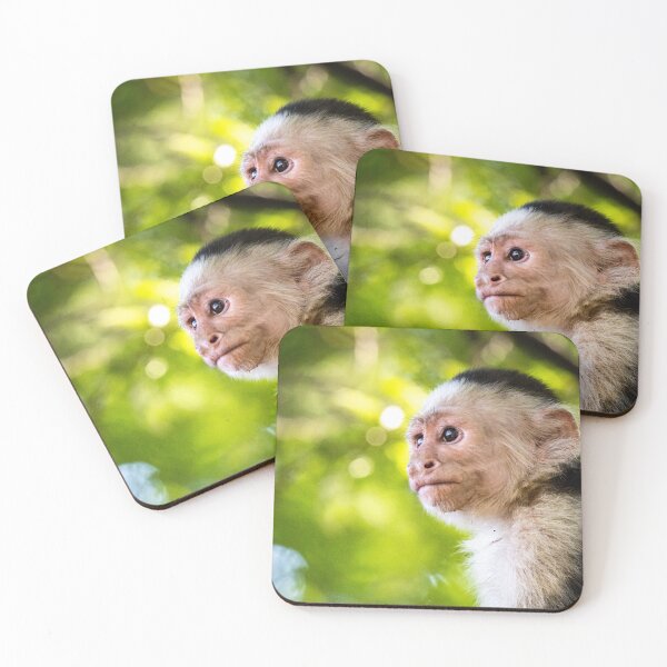 Item preview, LLP Costa Rica Collection White-Faced Capuchin designed and sold by LokoLifePhotography.