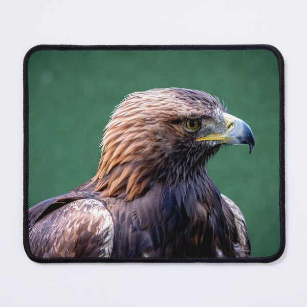 Item preview, Golden Eagle  designed and sold by Flyal4.