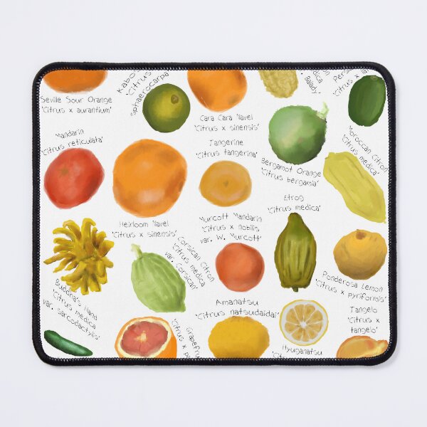 Item preview, citrus fruit designed and sold by thehat24.