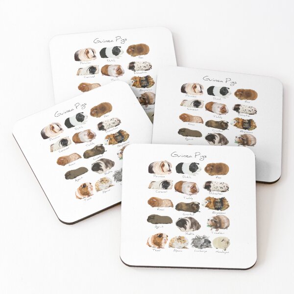 Item preview, Guinea pig breed chart  designed and sold by thehat24.