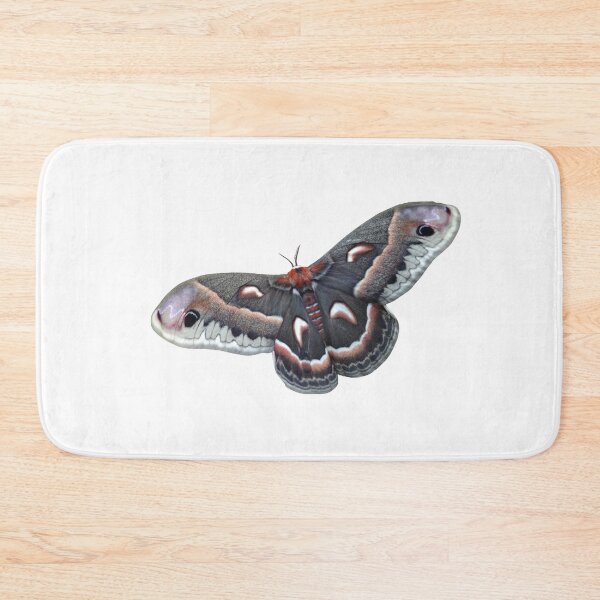 Item preview, Hyalophora cecropia: Robin moth designed and sold by Entomologist.