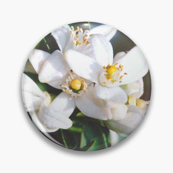 Item preview, Citrus flowers designed and sold by STHogan.