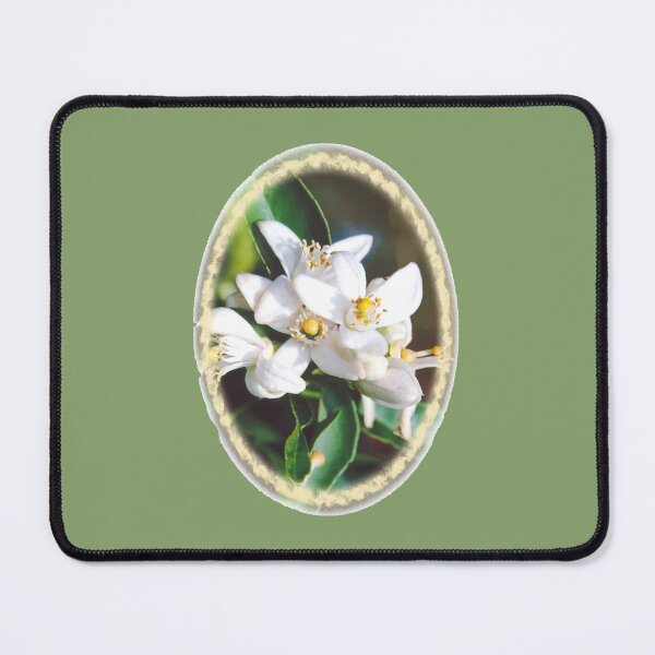 Item preview, Citrus flowers designed and sold by STHogan.