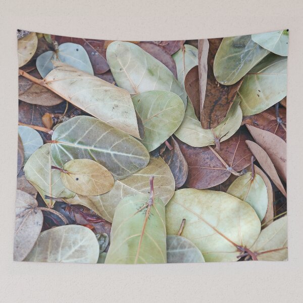 Item preview, Fig Leaf Pattern designed and sold by Paul Gilbert.