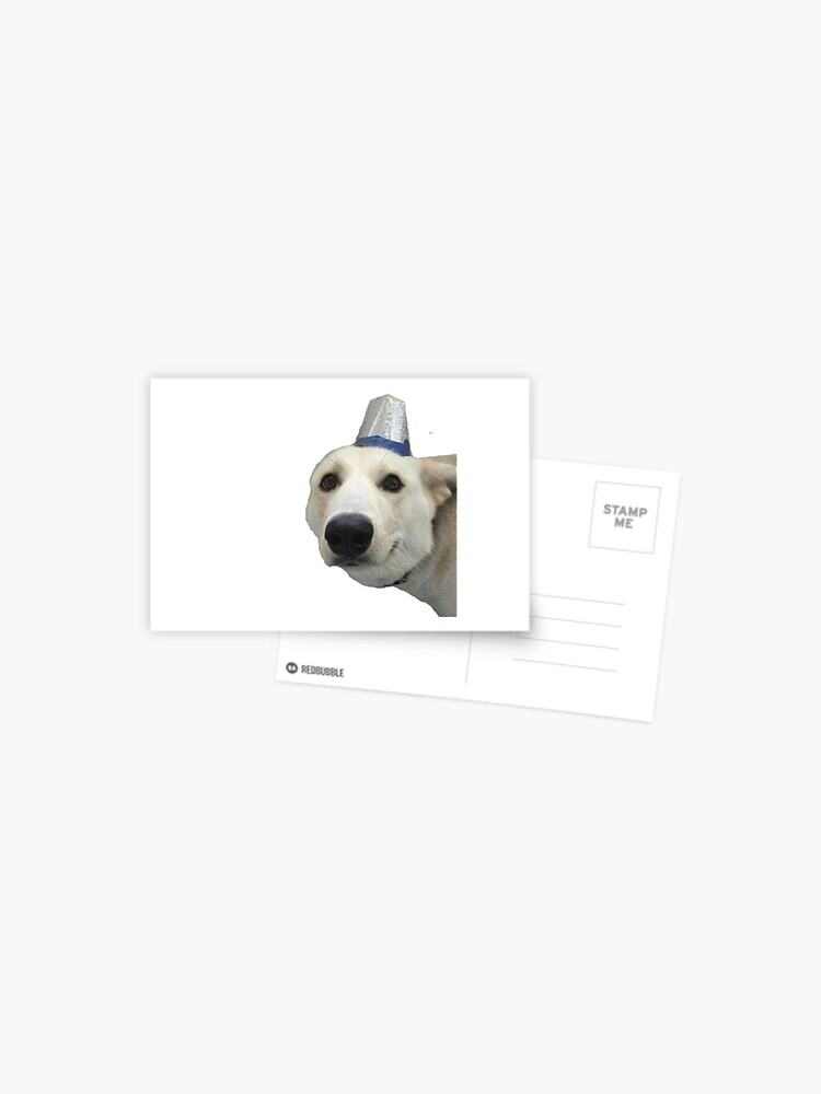 Doggo with hat meme Sticker for Sale by p0pculture3