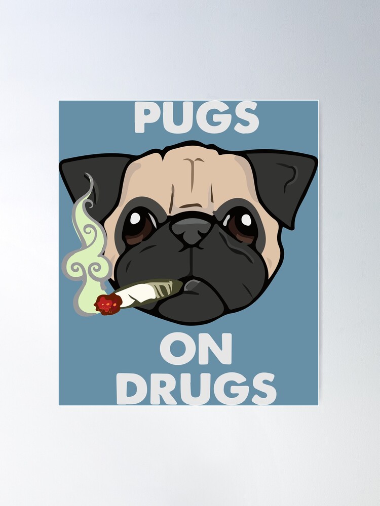 Pug On Drugs