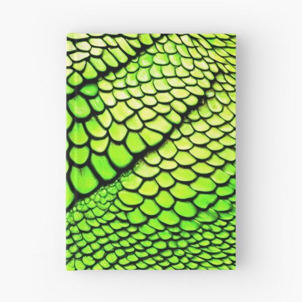 Item preview, Iguana Scale Skin Pattern designed and sold by CTM ArtStudio.
