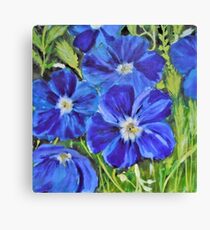 Mauve Geraniums Canvas Print