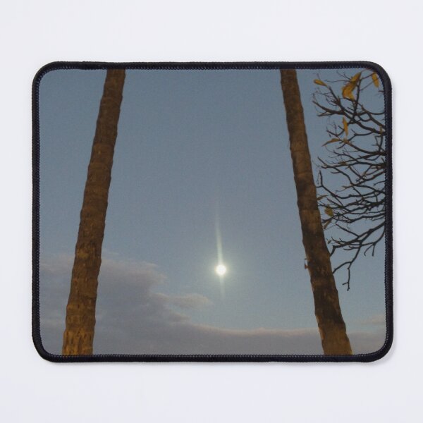 Item preview, Full Moon & Waikiki Hawaii Palm Trees designed and sold by Penny's Positivi-Tees.