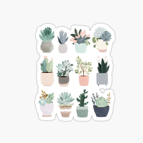 Minimalistic Potted Succulent Squad Sticker