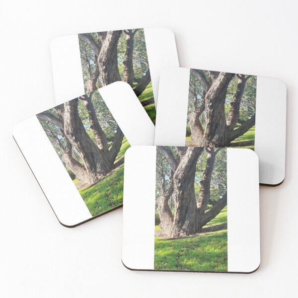 Item preview, Wise old tree designed and sold by Blueberries92.
