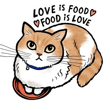 Aperçu de l'œuvre Gamelle Kitty Cat L'amour c'est la nourriture, la nourriture c'est l'amour ~ Chat orange et blanc de Jenn Inashvili