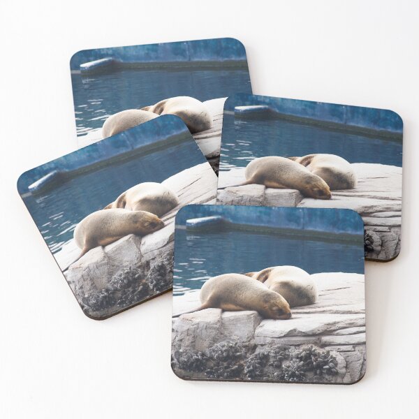 Item preview, Window to the Sea: Sea Lions in Aquarium designed and sold by ThalyArt.