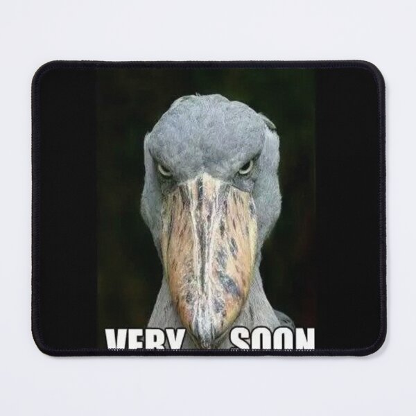 Item preview, STREAM SOON SPOONBILL designed and sold by sadrebieditz.