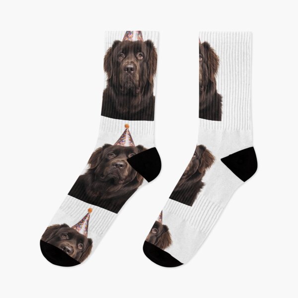 Item preview, Cute Newfoundland dog with Party Hat Birthday Celebration designed and sold by LazyOwlStore.