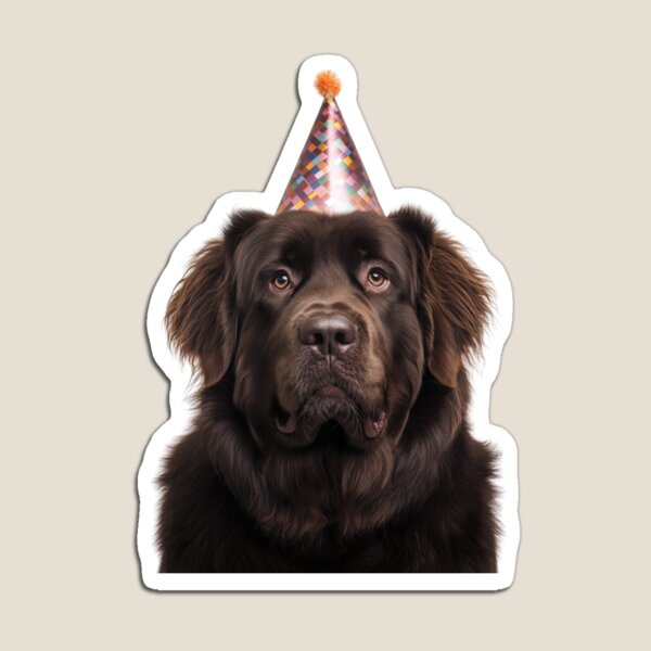 Item preview, Cute Newfoundland dog with Party Hat Birthday Celebration designed and sold by LazyOwlStore.