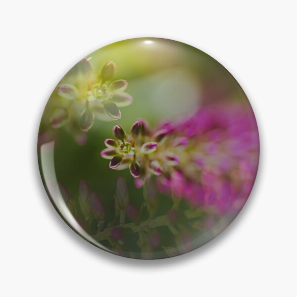 Item preview, Hebe Stages Of Live designed and sold by Joy Watson - Natural Light Photography .