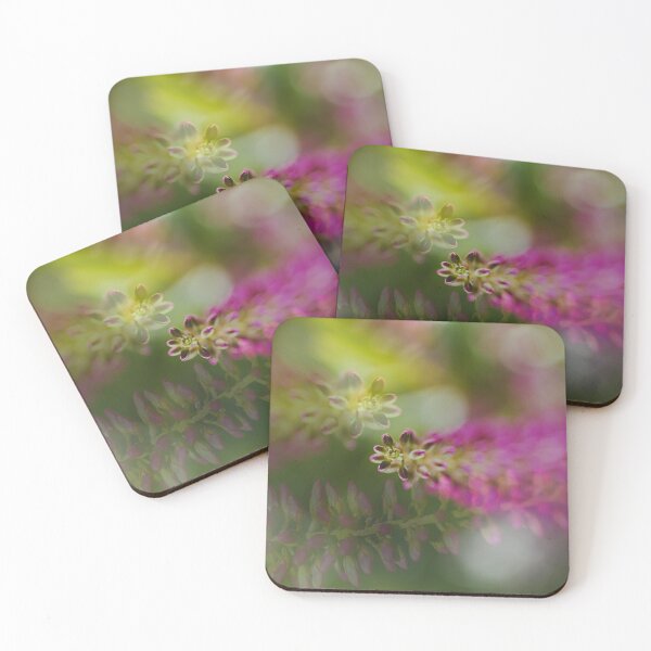 Item preview, Hebe Stages Of Live designed and sold by Joy Watson - Natural Light Photography .