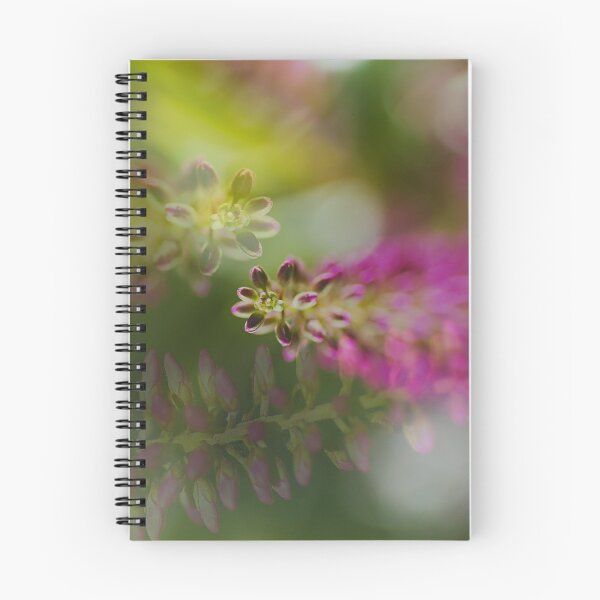 Item preview, Hebe Stages Of Live designed and sold by Joy Watson - Natural Light Photography .