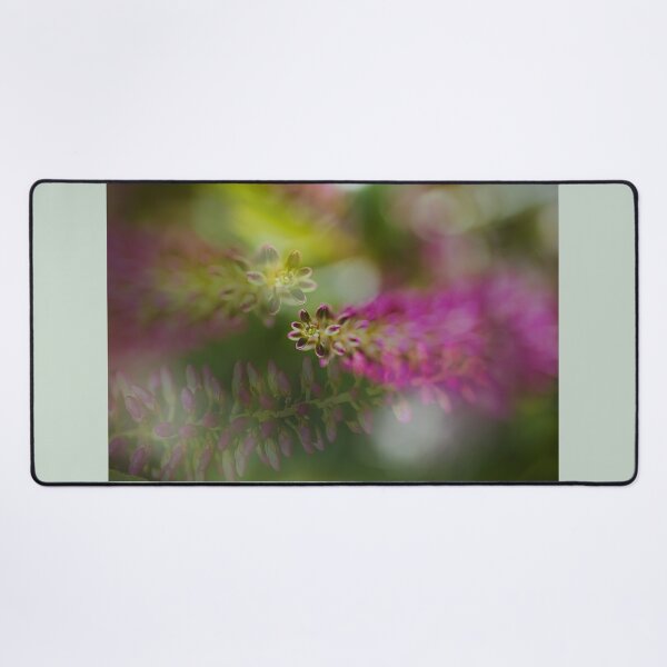 Item preview, Hebe Stages Of Live designed and sold by Joy Watson - Natural Light Photography .