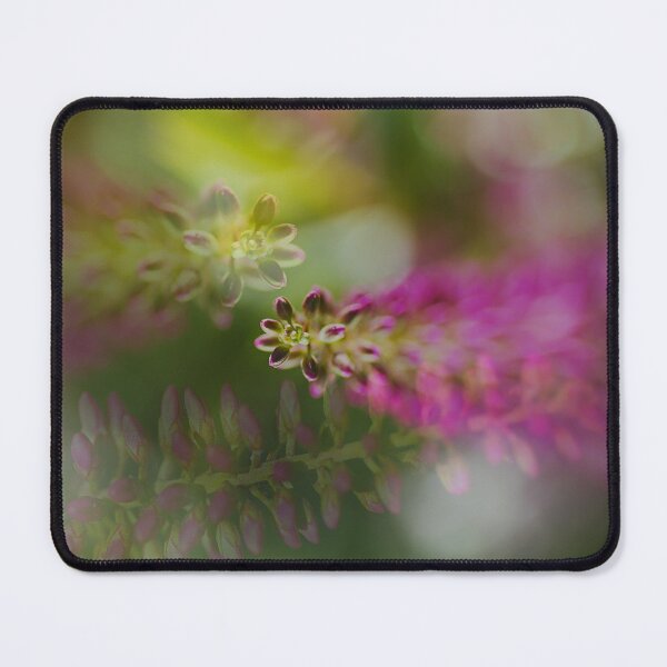 Item preview, Hebe Stages Of Live designed and sold by Joy Watson - Natural Light Photography .