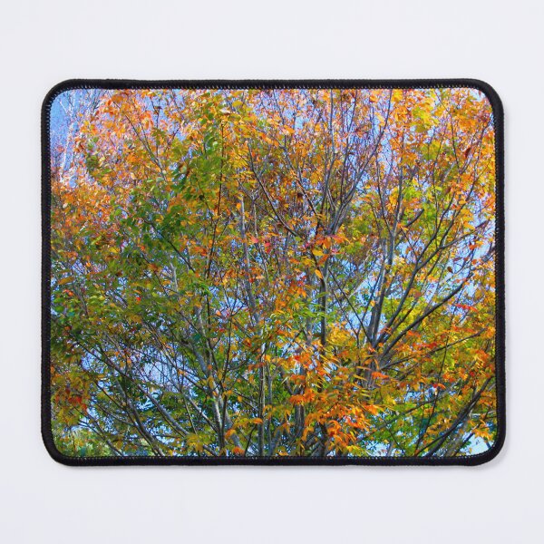 Item preview, GLORIOUS designed and sold by Asoka.
