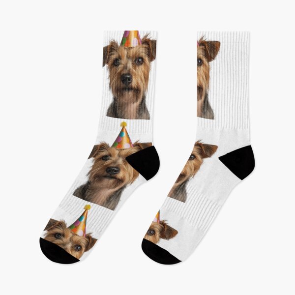 Item preview, Cute Norfolk Terrier dog with Party Hat Birthday Celebration designed and sold by LazyOwlStore.
