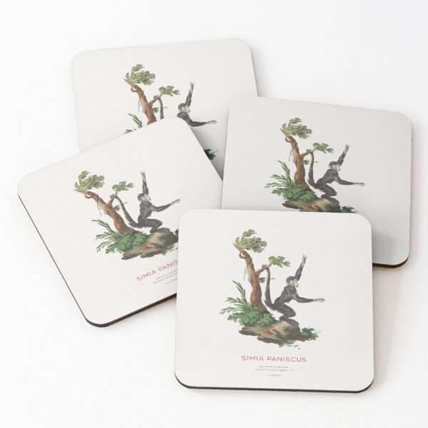 Item preview, Spider monkey or Simia paniscus designed and sold by Vintagrafica.