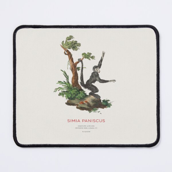 Item preview, Spider monkey or Simia paniscus designed and sold by Vintagrafica.