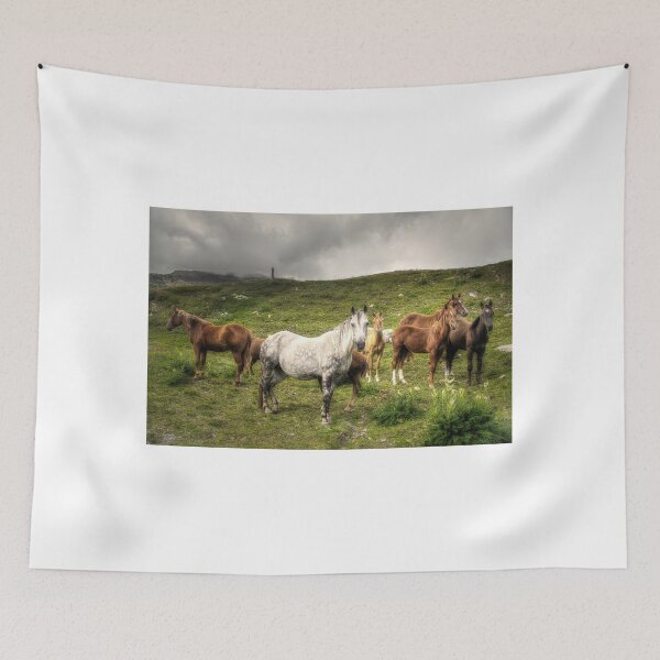 Item preview, White horse designed and sold by Roberto Pagani.
