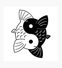Two Fish - Yin Yang Photographic Print