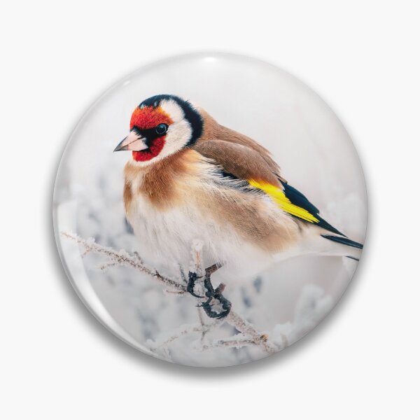 Item preview, European Goldfinch on Winter Background designed and sold by Mihaela Limberea.