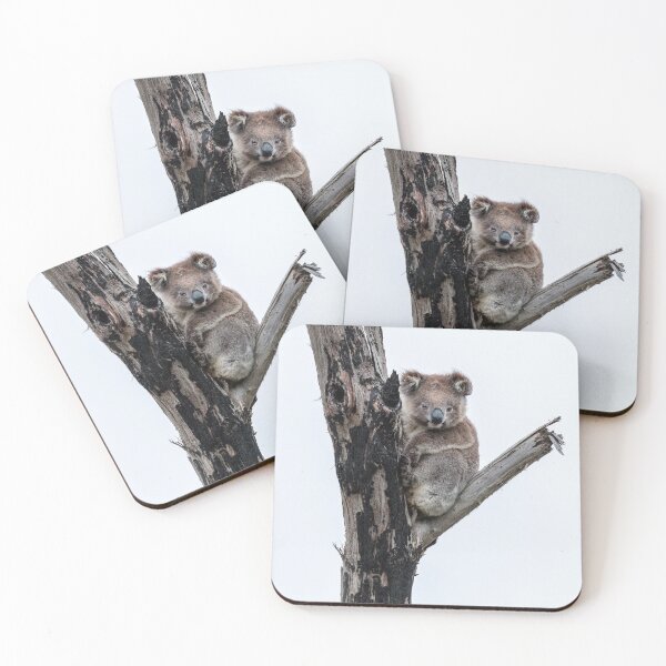 Item preview, Koala designed and sold by Mihaela Limberea.