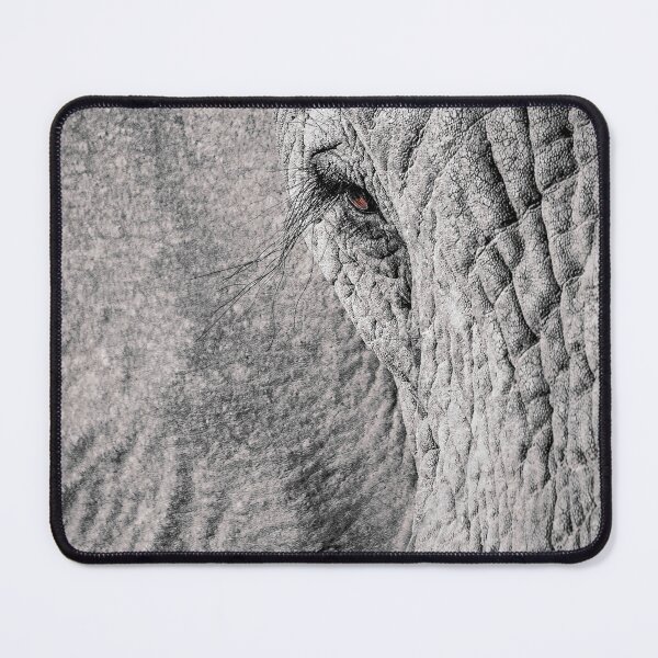 Item preview, Elephant Close-Up designed and sold by Mihaela Limberea.