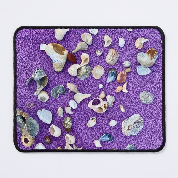 Item preview, British shell collection designed and sold by Bammphoto.