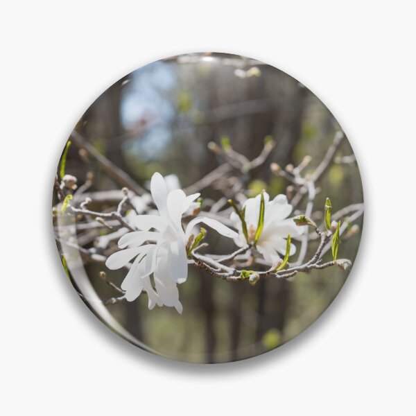 Item preview, Springtime Forest Bathing with Exquisite Wild Magnolias designed and sold by Georgia Mizuleva.