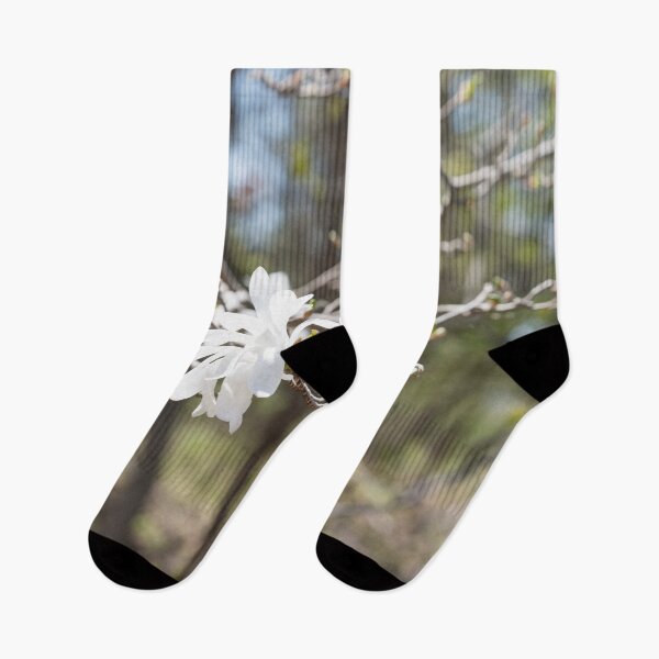 Item preview, Springtime Forest Bathing with Exquisite Wild Magnolias designed and sold by Georgia Mizuleva.