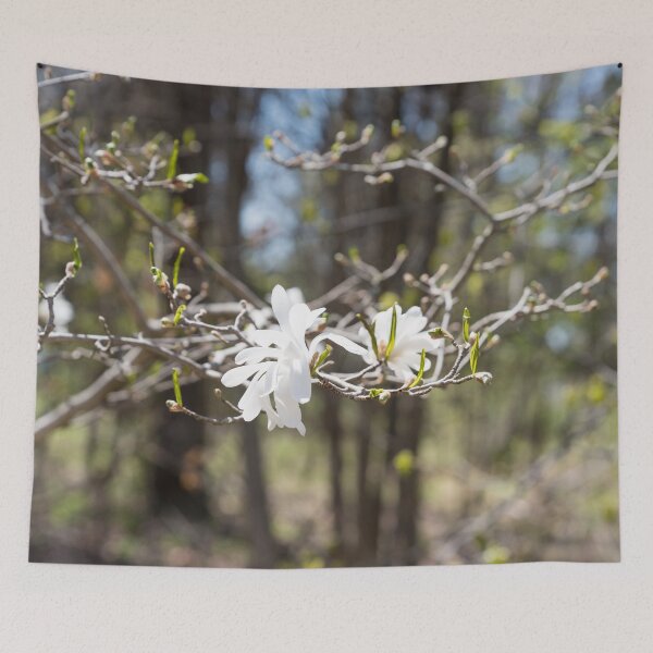 Item preview, Springtime Forest Bathing with Exquisite Wild Magnolias designed and sold by Georgia Mizuleva.